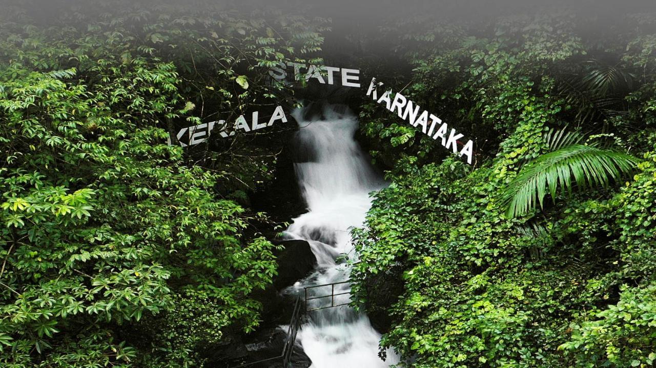 Holistic Stay Eco-Resort & Ayurvedic Retreat Paithalmala Екстер'єр фото