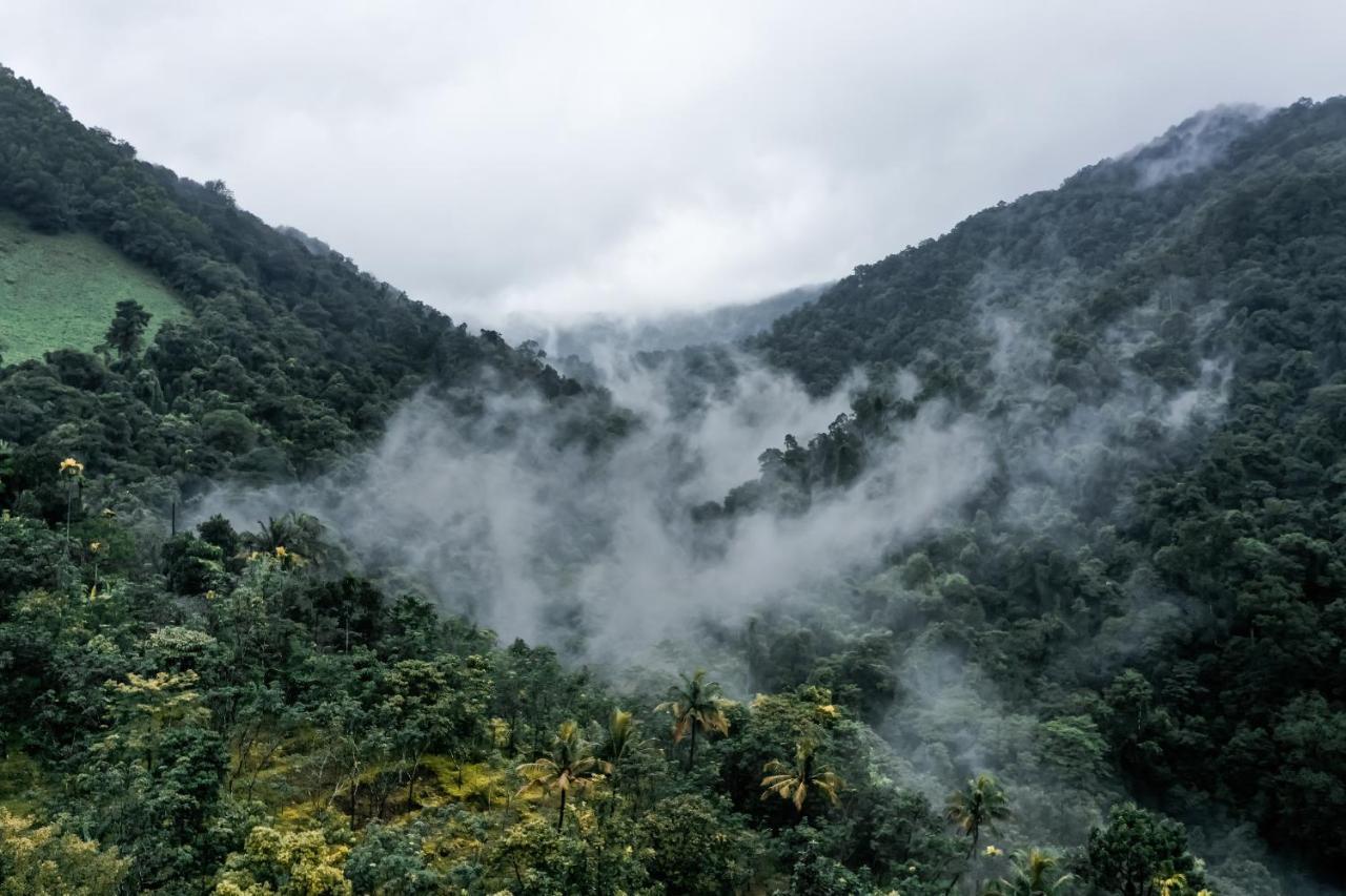 Holistic Stay Eco-Resort & Ayurvedic Retreat Paithalmala Екстер'єр фото