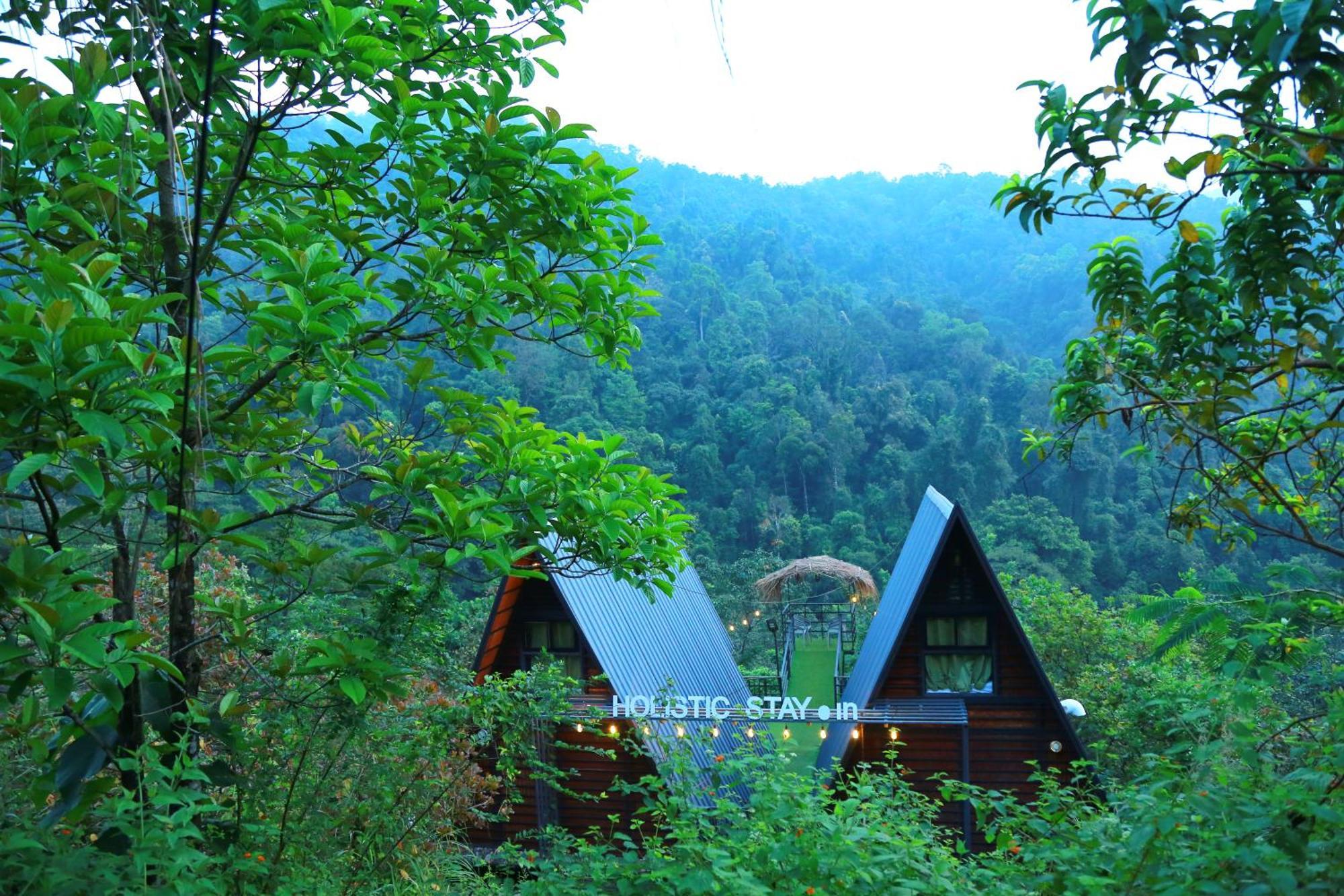 Holistic Stay Eco-Resort & Ayurvedic Retreat Paithalmala Екстер'єр фото
