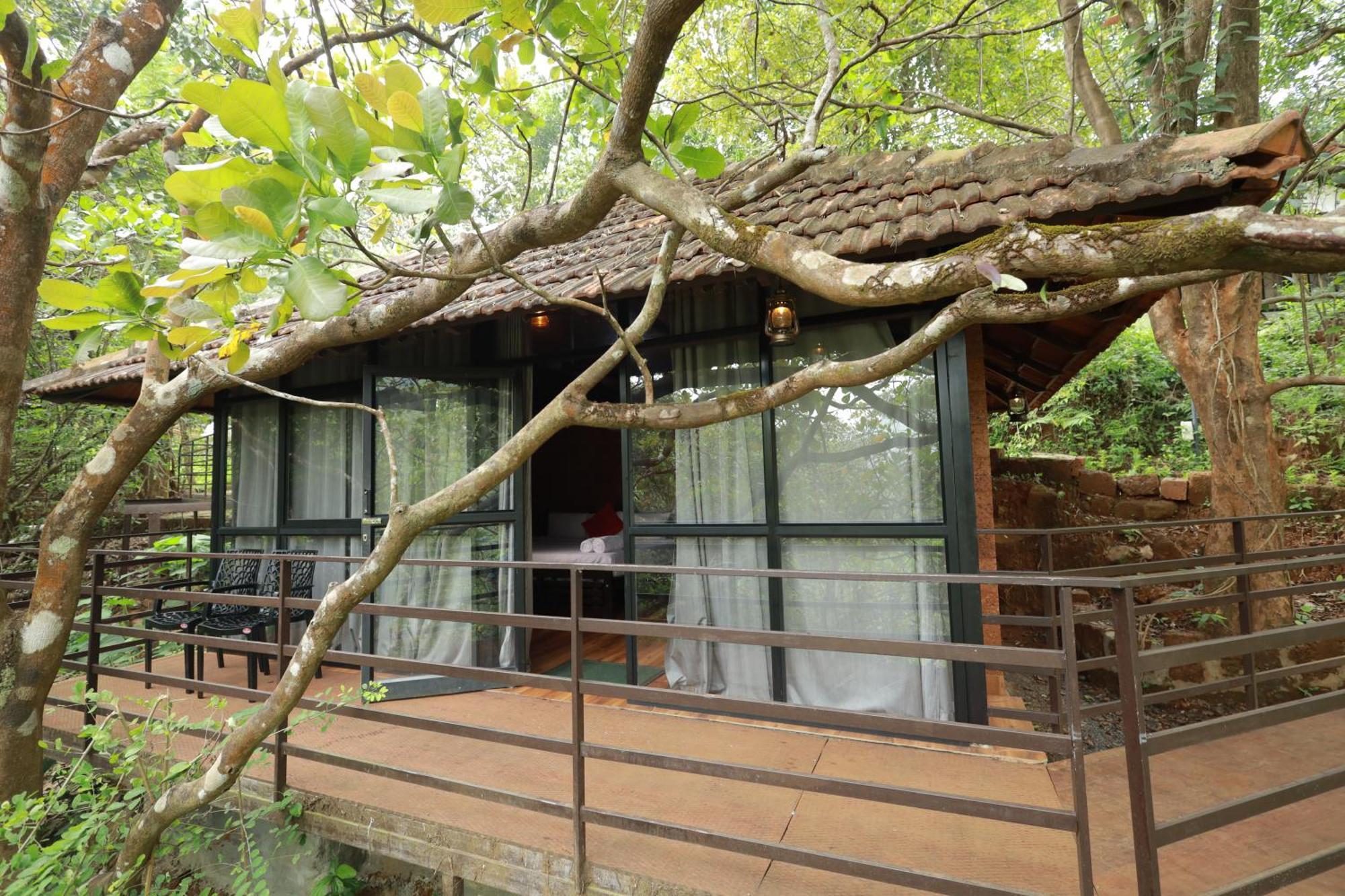 Holistic Stay Eco-Resort & Ayurvedic Retreat Paithalmala Екстер'єр фото